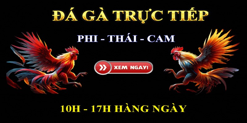 Đá gà cựa sắt trực tuyến đem đến ưu điểm gì?